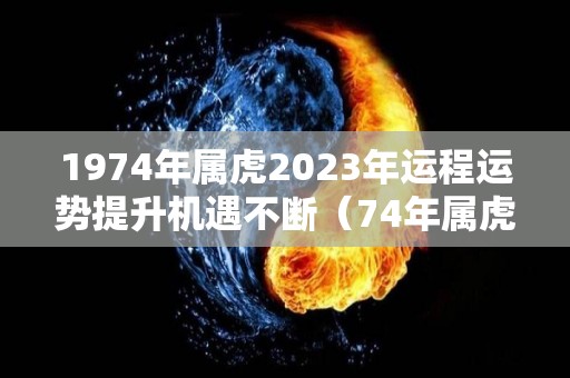 1974年属虎2023年运程运势提升机遇不断（74年属虎2023年运势完整版）