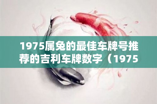 1975属兔的最佳车牌号推荐的吉利车牌数字（1975属兔的最佳车颜色）