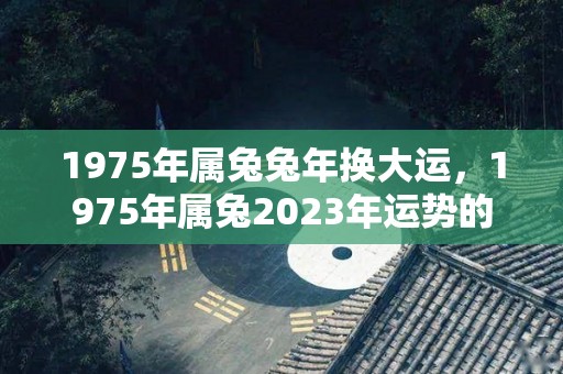 1975年属兔兔年换大运，1975年属兔2023年运势的简单介绍