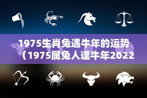 1975生肖兔遇牛年的运势（1975属兔人逢牛年2022）