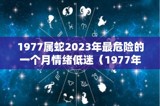 1977属蛇2023年最危险的一个月情绪低迷（1977年属蛇人在2023年怎么样）