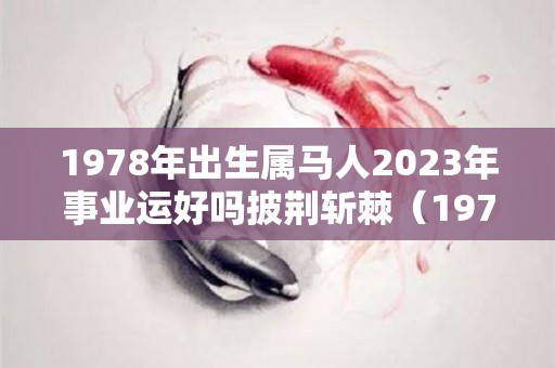 1978年出生属马人2023年事业运好吗披荆斩棘（1978年的马2023年的财运如何）