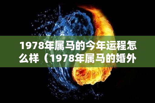 1978年属马的今年运程怎么样（1978年属马的婚外情45岁）