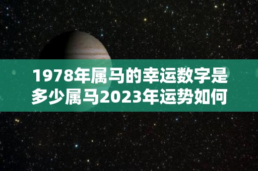 1978年属马的幸运数字是多少属马2023年运势如何（78年属马2020年幸运数）