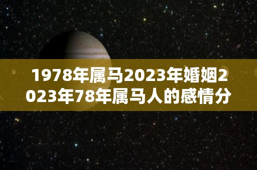 1978年属马2023年婚姻2023年78年属马人的感情分析（1978年2023年马年运势及运程）