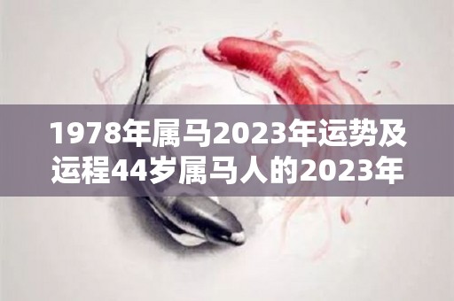 1978年属马2023年运势及运程44岁属马人的2023年每月运势详解（1978年属马人2023的命运）