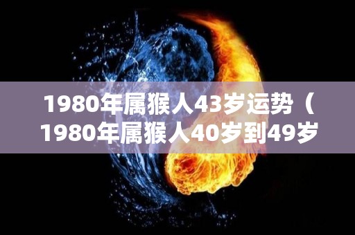 1980年属猴人43岁运势（1980年属猴人40岁到49岁运程）