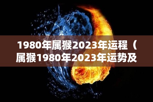 1980年属猴2023年运程（属猴1980年2023年运势及运程）