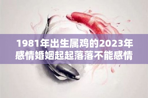 1981年出生属鸡的2023年感情婚姻起起落落不能感情用事（81年属鸡2023年运势及运程每月运程男）