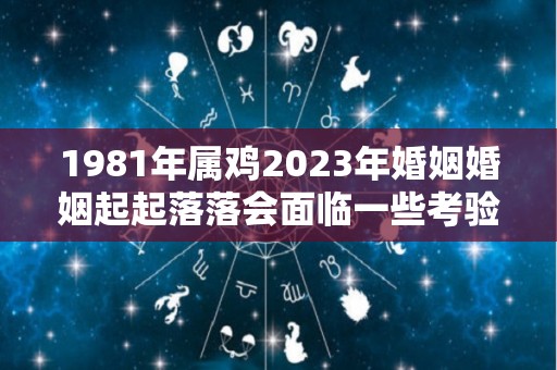 1981年属鸡2023年婚姻婚姻起起落落会面临一些考验（1981年属鸡2023年运势男命）