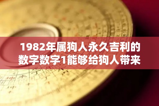 1982年属狗人永久吉利的数字数字1能够给狗人带来好运（1982属狗吉祥数字和字母）