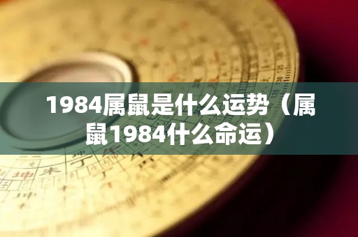 1984属鼠是什么运势（属鼠1984什么命运）