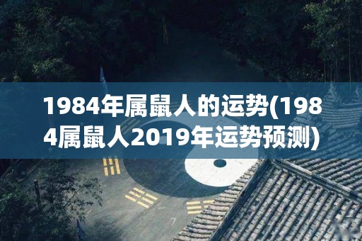 1984年属鼠人的运势(1984属鼠人2019年运势预测)