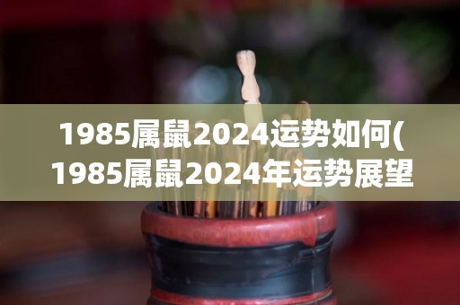 1985属鼠2024运势如何(1985属鼠2024年运势展望)