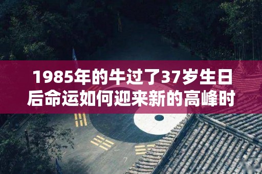 1985年的牛过了37岁生日后命运如何迎来新的高峰时刻的简单介绍