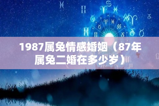 1987属兔情感婚姻（87年属兔二婚在多少岁）