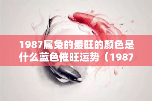 1987属兔的最旺的颜色是什么蓝色催旺运势（1987年属兔的人什么颜色好）