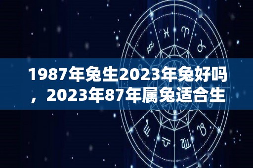 1987年兔生2023年兔好吗，2023年87年属兔适合生子吗（1987年的兔在2023年怎么样）