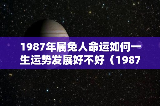 1987年属兔人命运如何一生运势发展好不好（1987年属兔的命运怎么样）