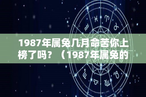 1987年属兔几月命苦你上榜了吗？（1987年属兔的几月出生的好呢?）