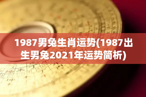 1987男兔生肖运势(1987出生男兔2021年运势简析)