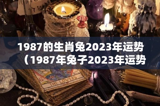 1987的生肖兔2023年运势（1987年兔子2023年运势）