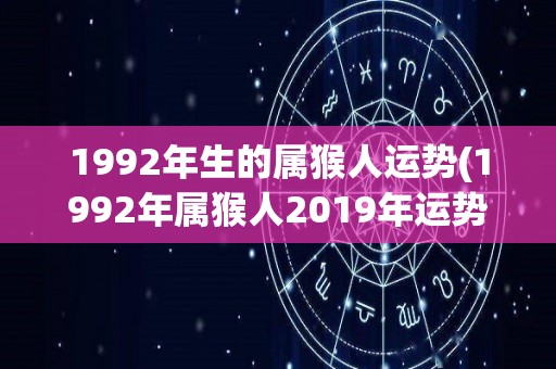 1992年生的属猴人运势(1992年属猴人2019年运势预测)