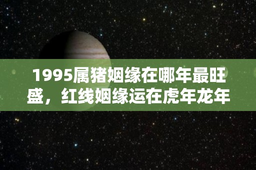 1995属猪姻缘在哪年最旺盛，红线姻缘运在虎年龙年（1995属猪的姻缘）