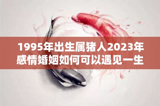 1995年出生属猪人2023年感情婚姻如何可以遇见一生的伴侣吗的简单介绍