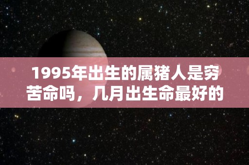 1995年出生的属猪人是穷苦命吗，几月出生命最好的简单介绍