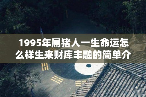 1995年属猪人一生命运怎么样生来财库丰融的简单介绍