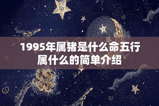 1995年属猪是什么命五行属什么的简单介绍