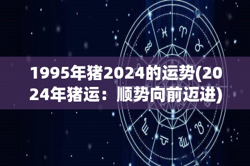 1995年猪2024的运势(2024年猪运：顺势向前迈进)