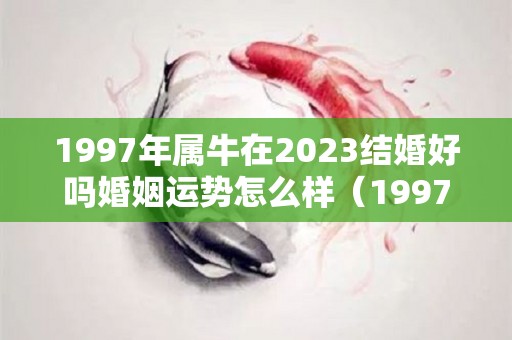 1997年属牛在2023结婚好吗婚姻运势怎么样（1997年属牛明年结婚）