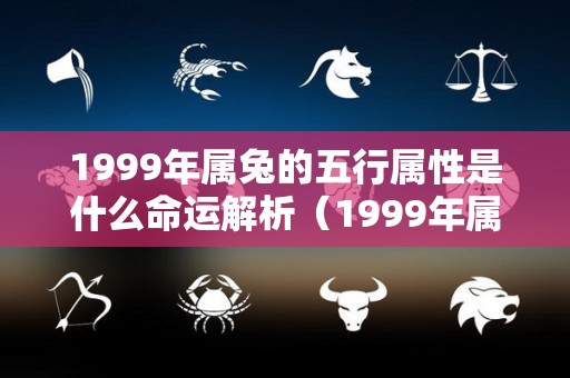 1999年属兔的五行属性是什么命运解析（1999年属兔是什么）