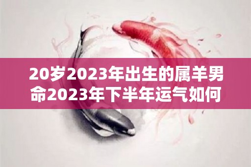 20岁2023年出生的属羊男命2023年下半年运气如何运势详解（属羊2023年运势及运程男性）