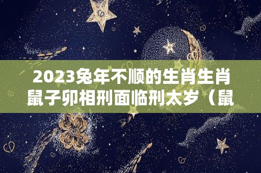 2023兔年不顺的生肖生肖鼠子卯相刑面临刑太岁（鼠在兔年运势2023运势详解）