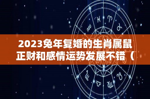 2023兔年复婚的生肖属鼠正财和感情运势发展不错（属兔人2023年适合谈恋爱吗）