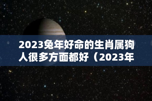 2023兔年好命的生肖属狗人很多方面都好（2023年的兔好吗）