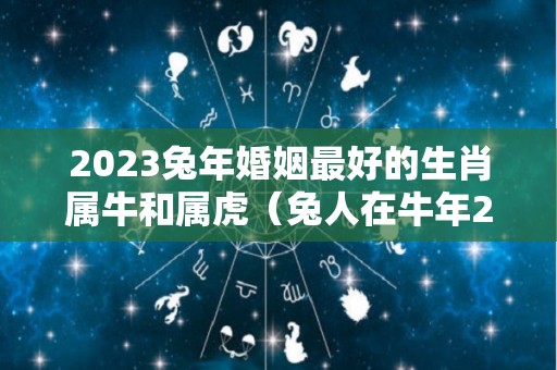 2023兔年婚姻最好的生肖属牛和属虎（兔人在牛年2023年的运势如何）