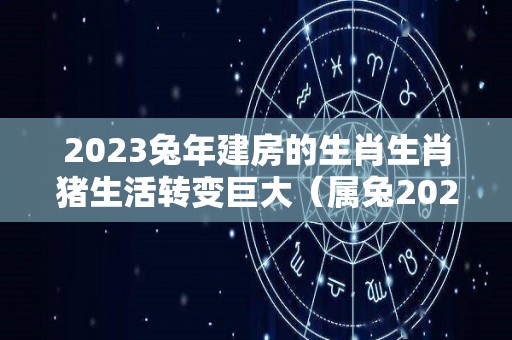 2023兔年建房的生肖生肖猪生活转变巨大（属兔2021年盖房子好吗）