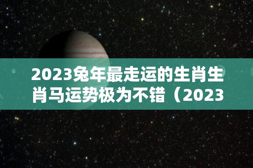 2023兔年最走运的生肖生肖马运势极为不错（2023兔年最旺的四个属相）