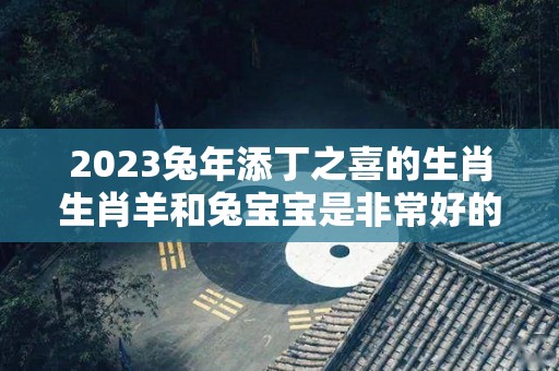 2023兔年添丁之喜的生肖生肖羊和兔宝宝是非常好的配对（2023年兔年适合生宝宝吗）