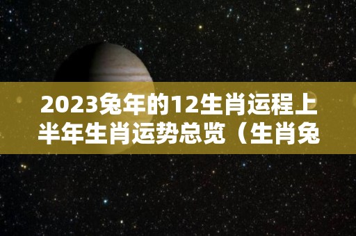 2023兔年的12生肖运程上半年生肖运势总览（生肖兔2023年全年运势）