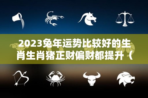 2023兔年运势比较好的生肖生肖猪正财偏财都提升（2023运势兔生肖运势详解）