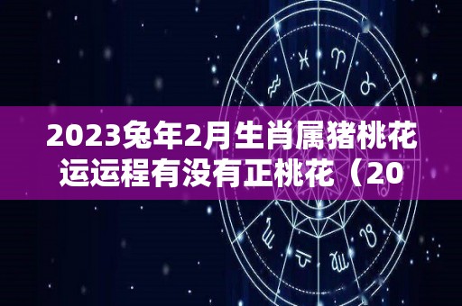 2023兔年2月生肖属猪桃花运运程有没有正桃花（2023年属猪的感情如何）