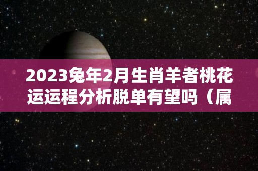 2023兔年2月生肖羊者桃花运运程分析脱单有望吗（属羊的2023年生兔宝宝年龄大吗）