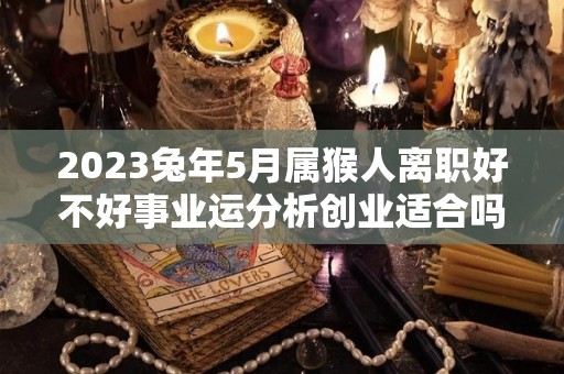 2023兔年5月属猴人离职好不好事业运分析创业适合吗（属兔在猴年运势）