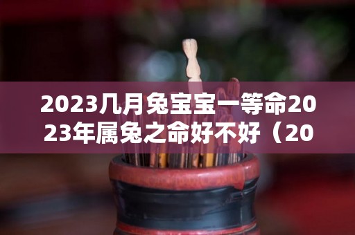 2023几月兔宝宝一等命2023年属兔之命好不好（2023年兔宝宝几月出生好）