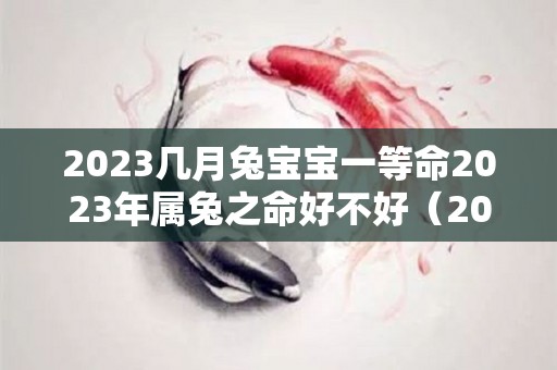 2023几月兔宝宝一等命2023年属兔之命好不好（2023年兔年几月份生宝宝命运最好）